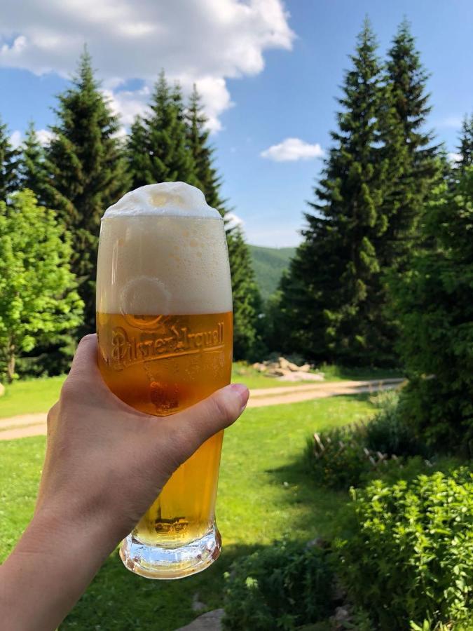 Horská chata U Kokrháče Dolní Malá Úpa Exterior foto