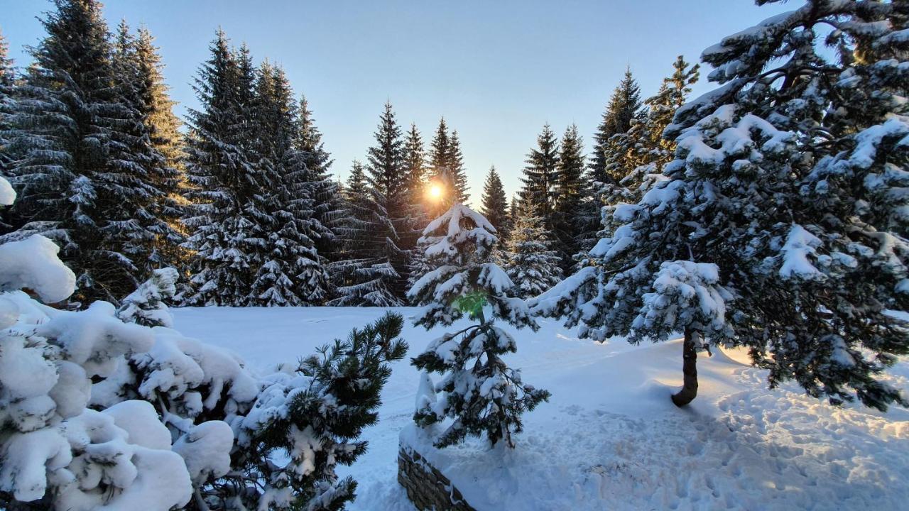 Horská chata U Kokrháče Dolní Malá Úpa Exterior foto