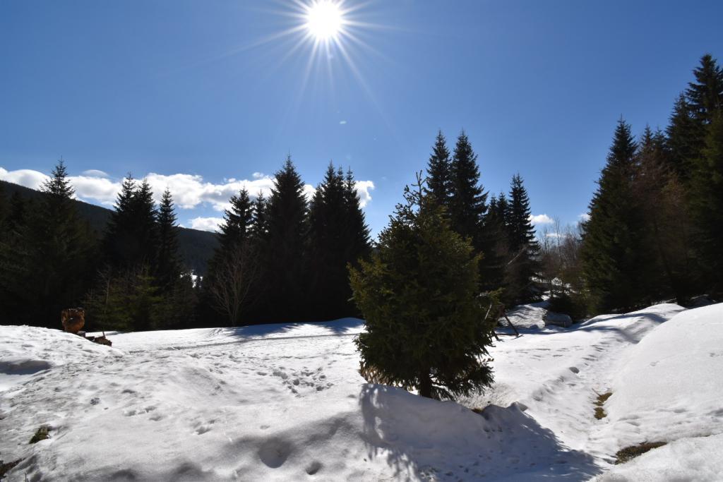 Horská chata U Kokrháče Dolní Malá Úpa Exterior foto